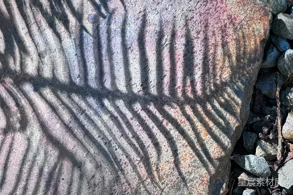 高清摄影 岩石上的光影纹理