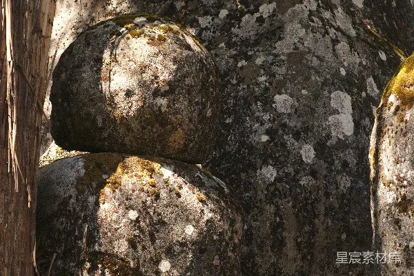 高清摄影 岩石上的苔藓与光斑