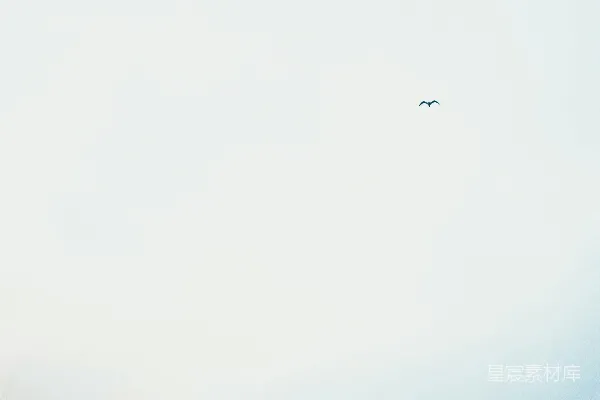 高清摄影 海边独行者