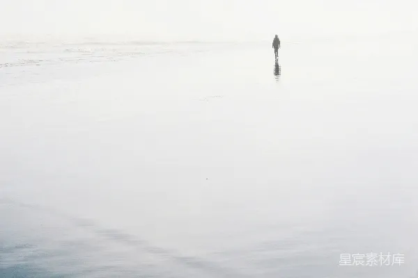 高清摄影 雾中独行者