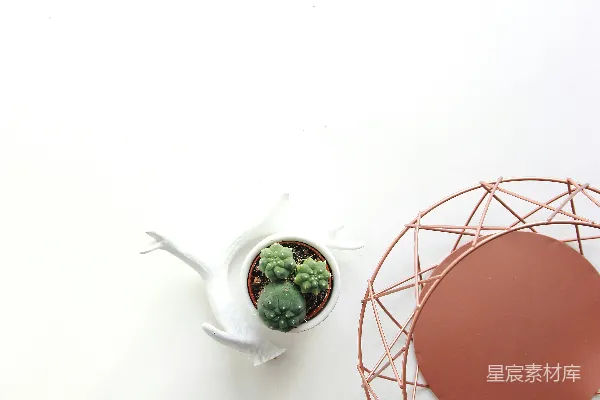 高清摄影 创意鲸鱼花盆与金属网格装饰
