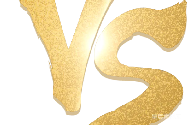 元素素材 金色VS标志