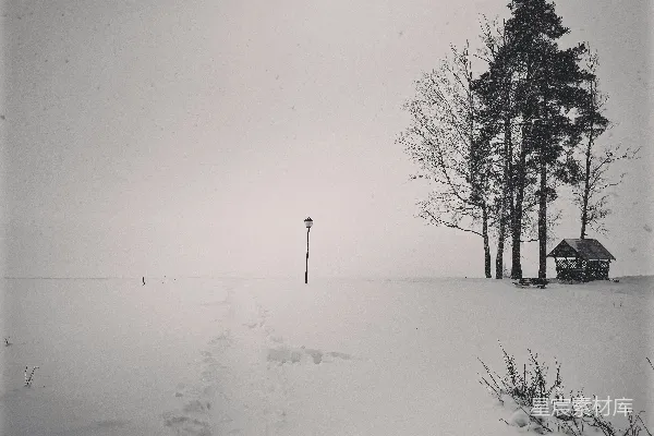高清摄影 冬日雪景中的小径与灯柱