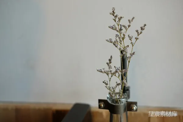 高清摄影 干花装饰：简约工业风