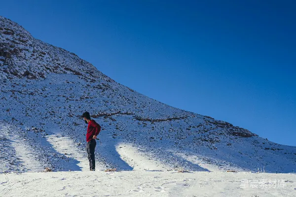 高清摄影 雪地独行者