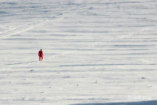 高清摄影 雪地独行者