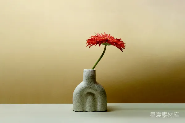 高清摄影 简约花瓶与红色雏菊