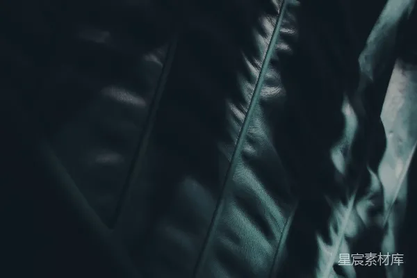 高清摄影 光影交错的叶子