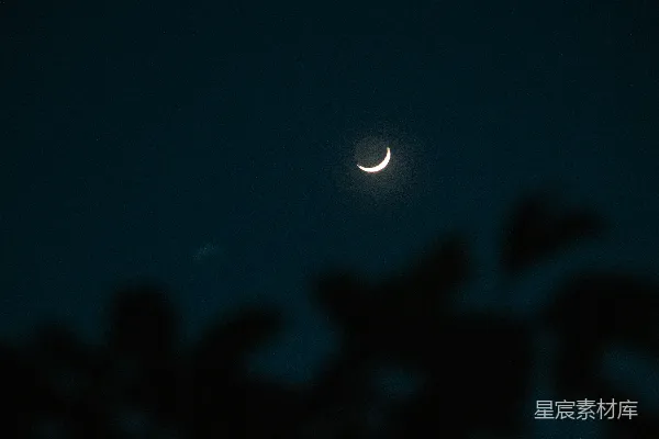 高清摄影 夜空中新月的剪影
