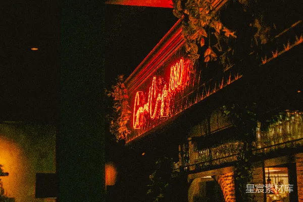 高清摄影 夜色中的酒吧霓虹灯