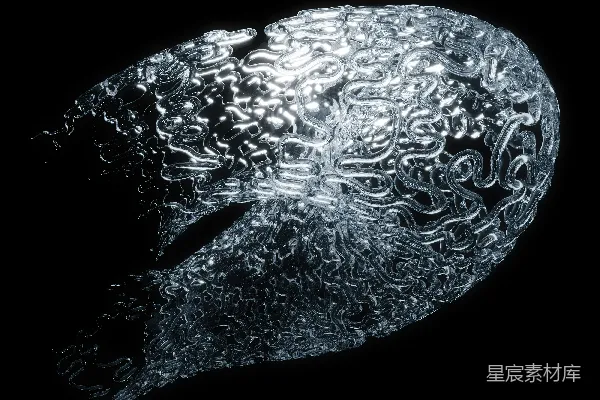 高清摄影 脑结构的透明3D模型