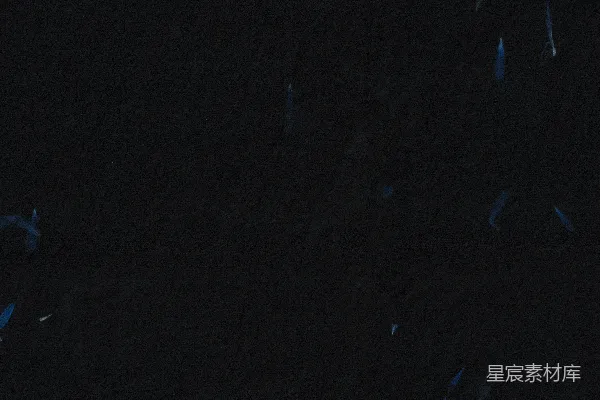 高清摄影 夜空中神秘的蓝色光点