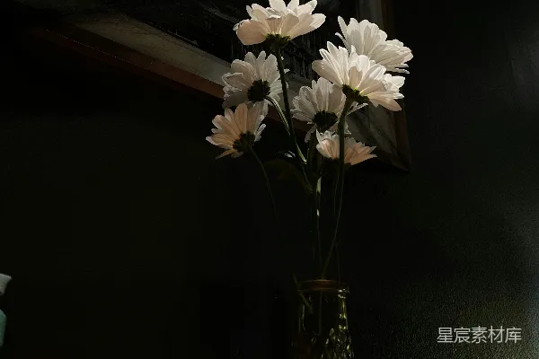 高清摄影 光影下的花瓶