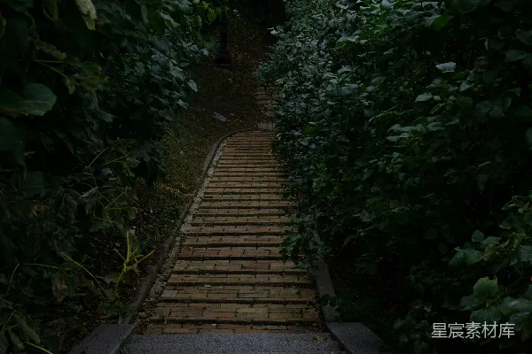 高清摄影 幽静的小径