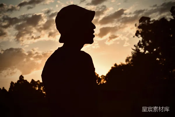 高清摄影 夕阳下的剪影