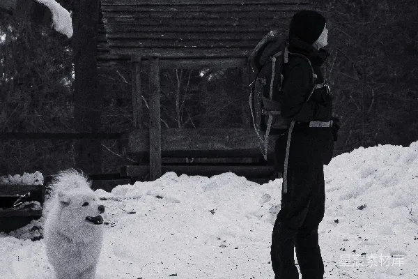 高清摄影 雪地中的旅人与小狗