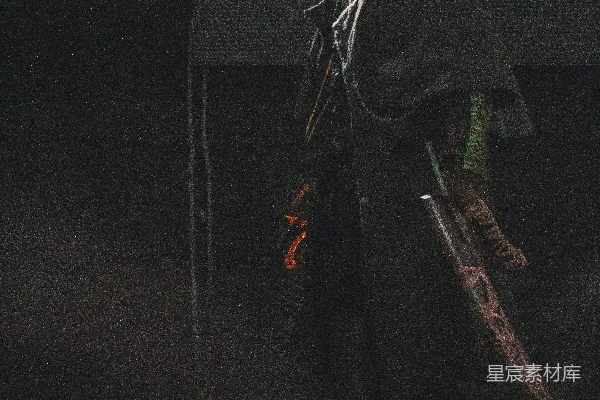 高清摄影 神秘的夜行者
