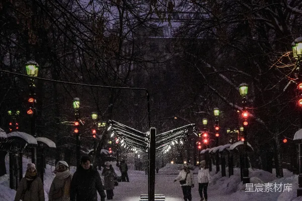 高清摄影 冬夜公园漫步
