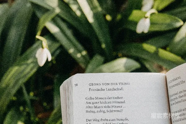 高清摄影 在自然中的诗歌阅读