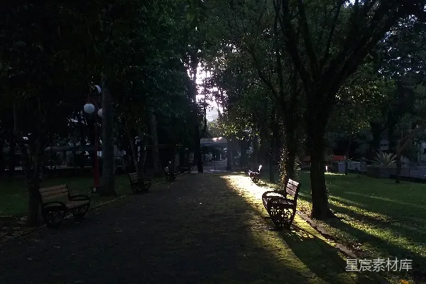 高清摄影 晨光下的宁静公园