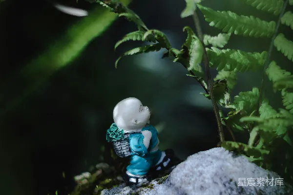 高清摄影 小僧侣的自然之旅