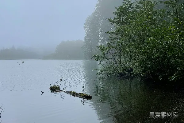 高清摄影 雨中静谧的湖泊