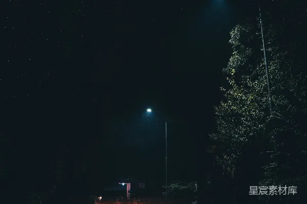 高清摄影 夜色中的路灯与汽车