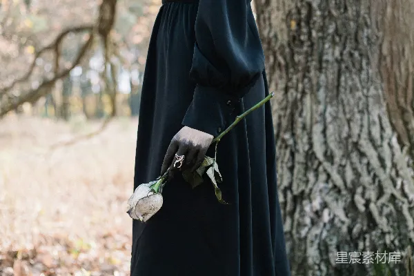 高清摄影 黑衣女子手捧枯萎玫瑰