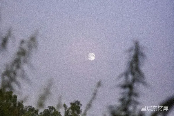 高清摄影 夜幕下的月亮