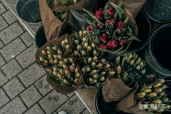 高清摄影 市场上的郁金香花束