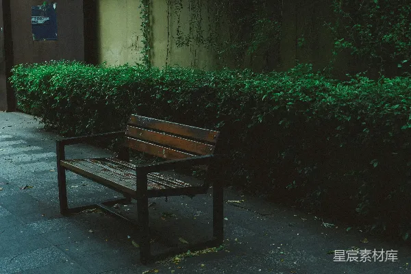 高清摄影 雨后静谧的长椅