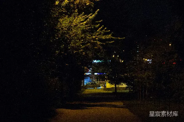 高清摄影 夜色中的街灯与小径