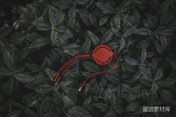 高清摄影 自然与科技的邂逅