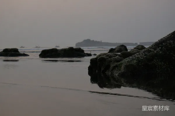高清摄影 晨雾中的海岸线