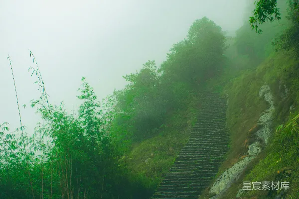高清摄影 雾中石阶