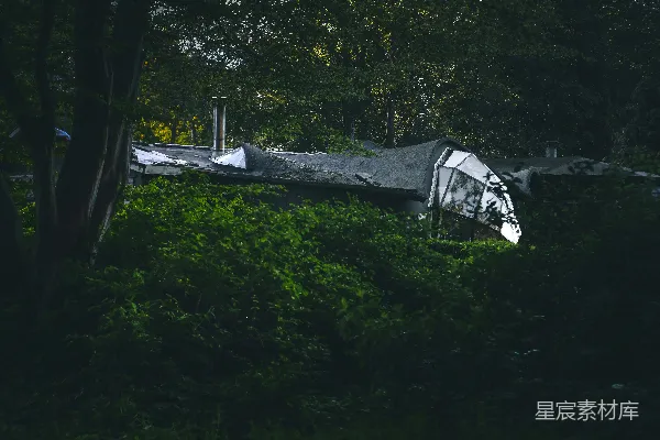 高清摄影 森林中的小屋