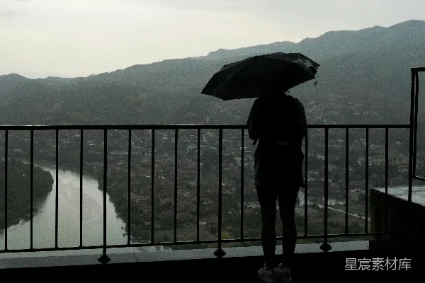高清摄影 雨中的静谧时光