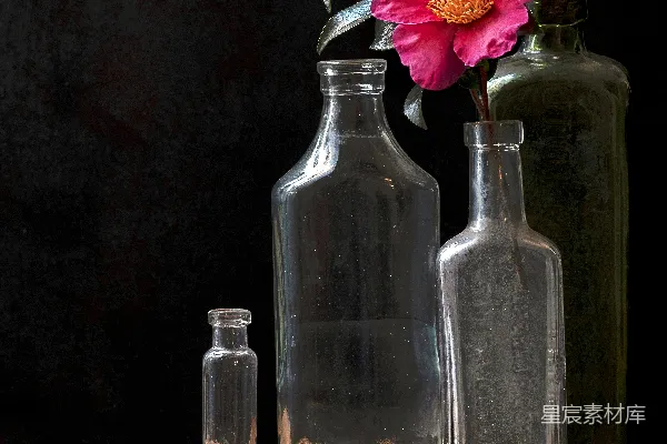 高清摄影 花与瓶的静物插图