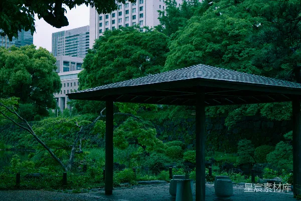 高清摄影 都市中的宁静花园