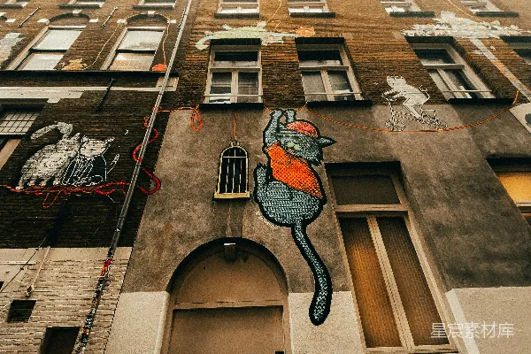 高清摄影 城市中的艺术墙：猫的奇妙世界