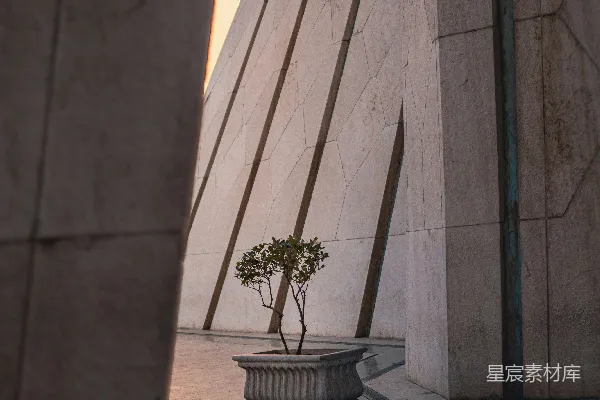 高清摄影 建筑中的绿植与日落