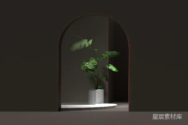 高清摄影 暗色调下的拱门与绿植