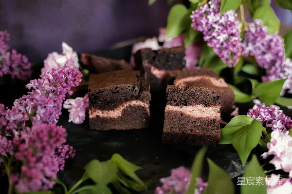 高清摄影 巧克力蛋糕与紫色丁香花