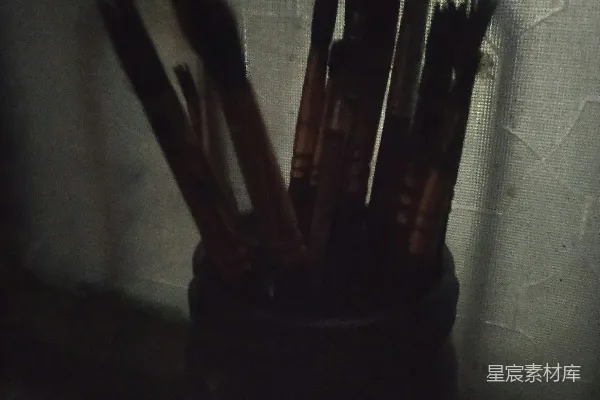 高清摄影 暗影中的箭矢