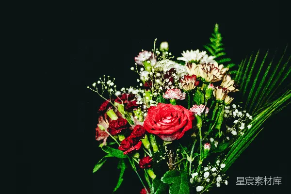 高清摄影 红色玫瑰与康乃馨的花束