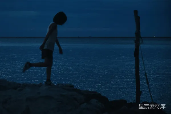 高清摄影 黄昏海边的剪影