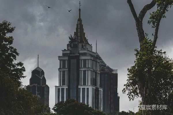 高清摄影 高楼大厦与飞鸟的都市景象
