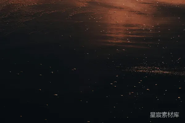 高清摄影 夕阳下的沙滩