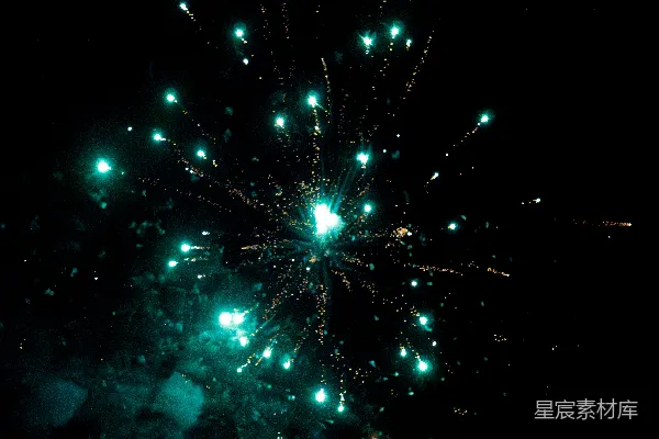 高清摄影 夜空中的烟花