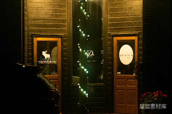 高清摄影 夜色中的店铺招牌